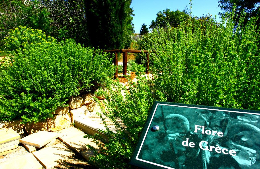 Jardin botanique de Nice, Nice, France, France